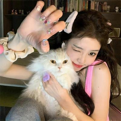 我爱九龙城粤语